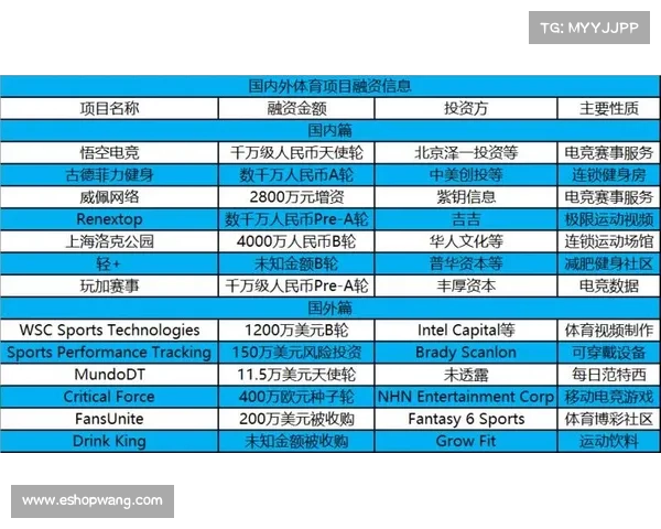 体育赛事融资—体育赛事融资方案 体育赛事融资—体育赛事融资方案